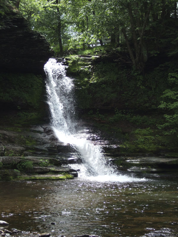 DSCF0936